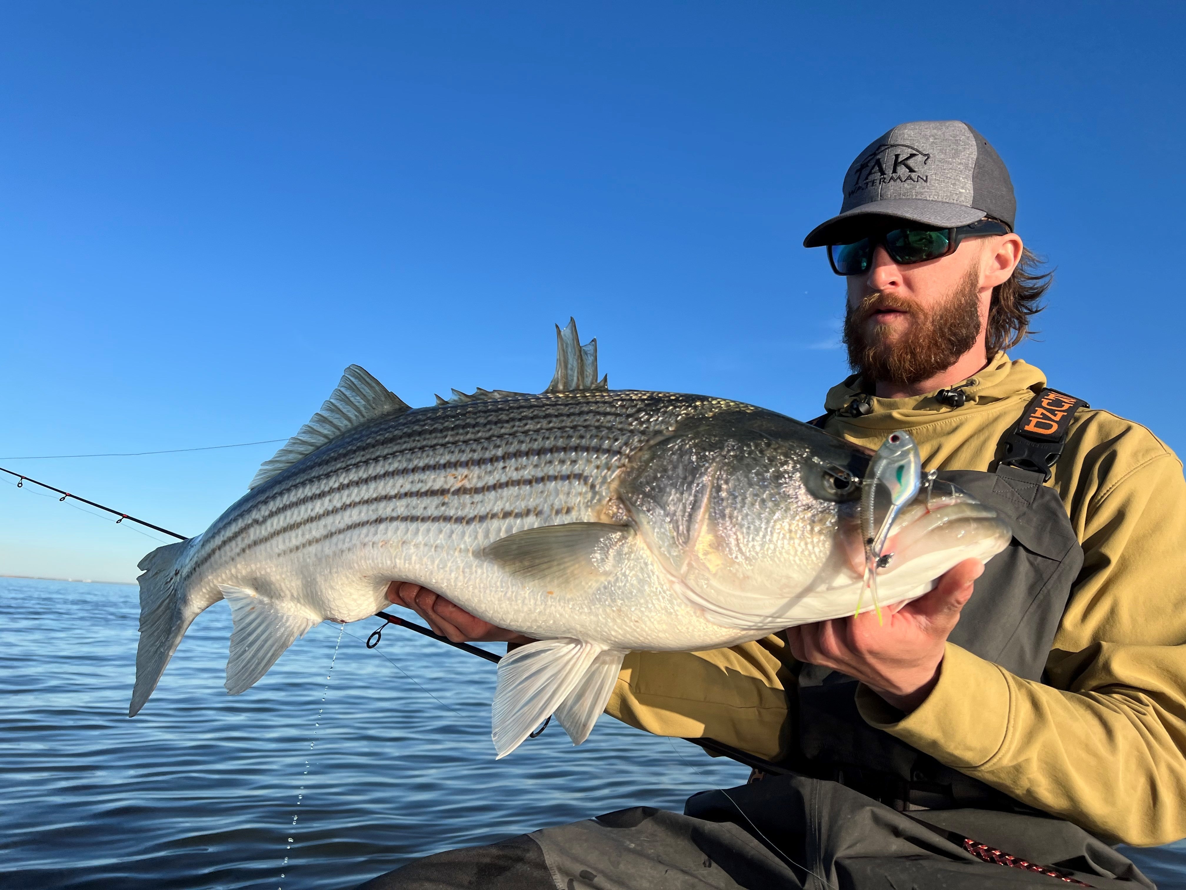 The 3 Most Effective Striper Lures 