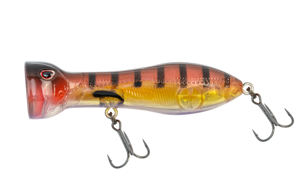 Nomad Chug Norris Popper: 4.75 Nomad Lures, Saltwater Gear, Topwater Lures  -  Canada