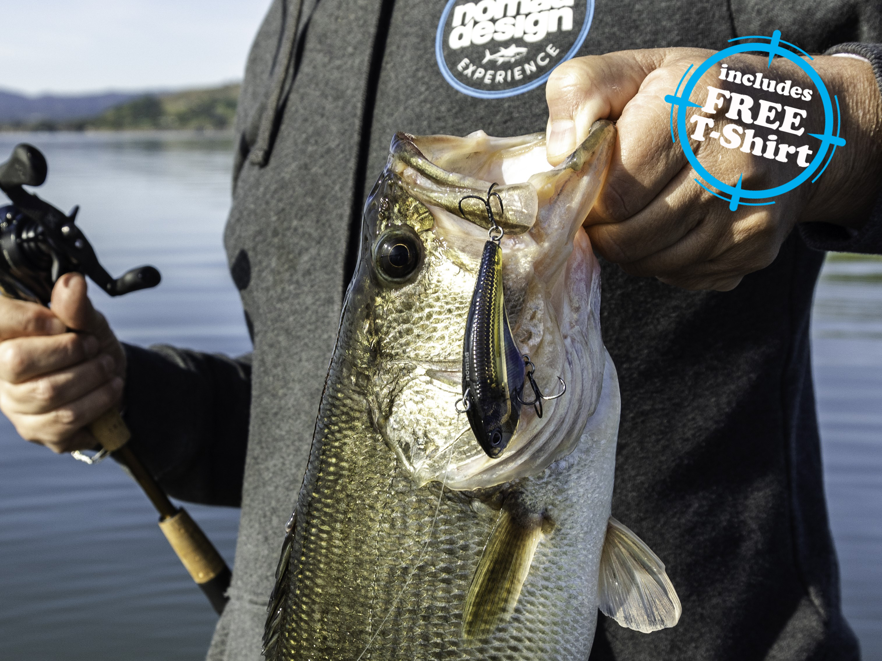 Largemouth Bass Lures Collection Online