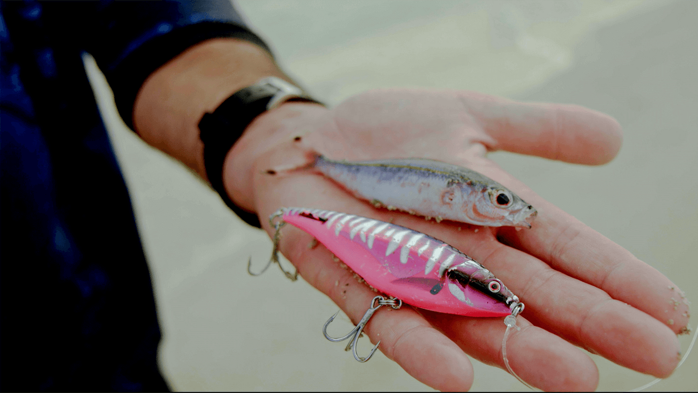 How to use the Madscad Twitchbait Casting – Nomad Tackle