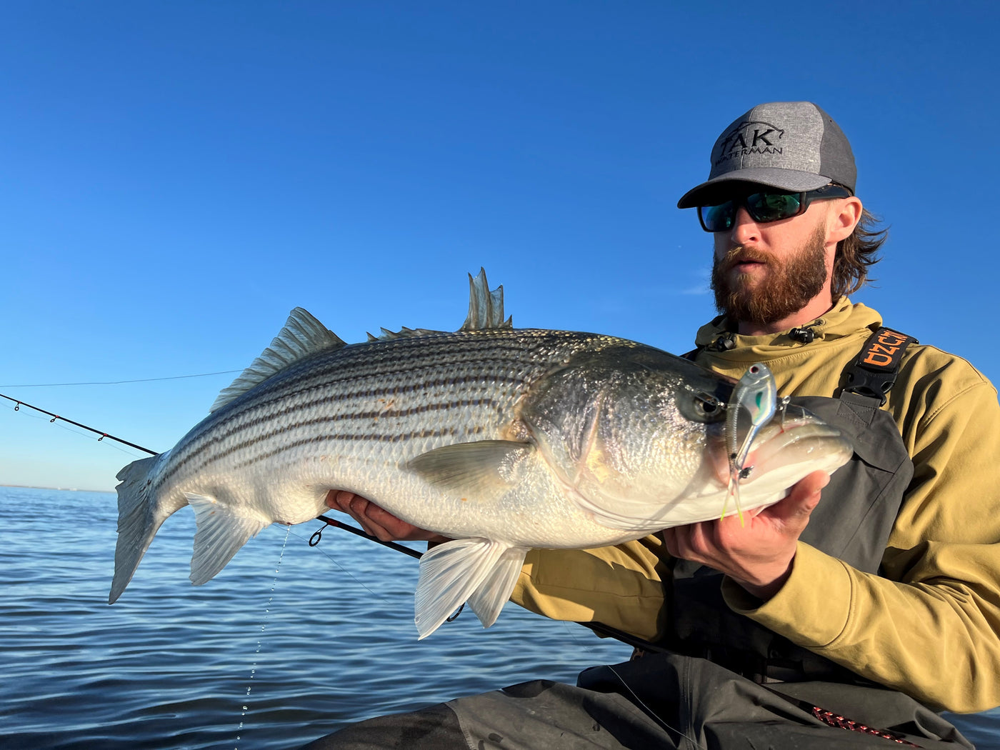 New Wooden Striped Bass Lures