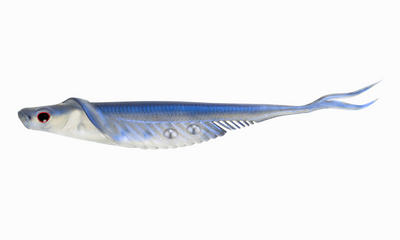 Cobra Shad 4.5" - Live Ops Tungsten Adjusta-Ball