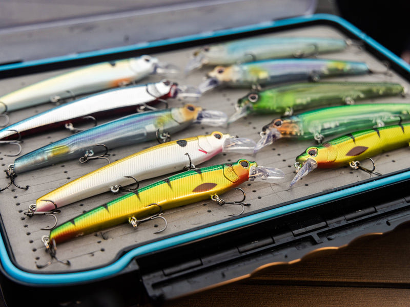 The Hottest Saltwater Lure of 2023 - The Nomad Squidtrex 95g on